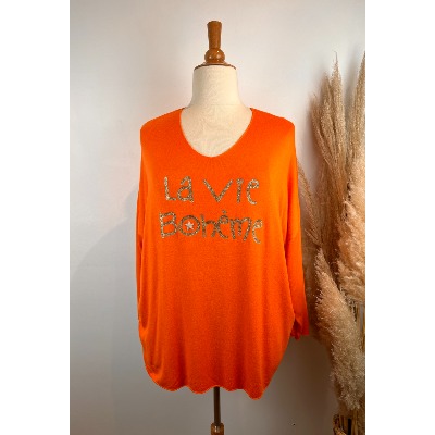 Pull printemps "la vie bohème" grande taille