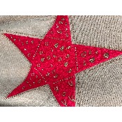 Pull étoile rose pailleté léopard grande taille