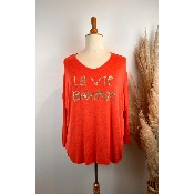 Pull printemps "la vie bohème" grande taille