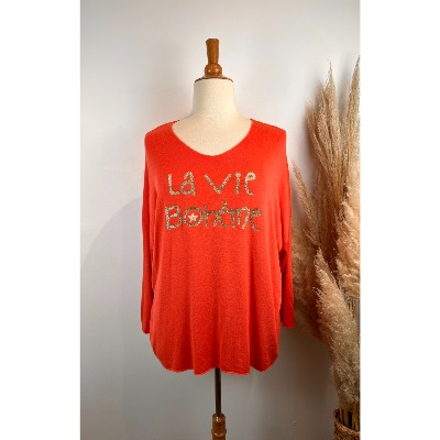 Pull printemps "la vie bohème" grande taille