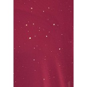 Tunique en voile doublée pailleté grande taille